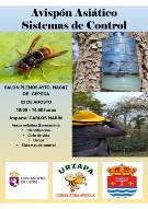 AVISPON ASIATICO - SISTEMAS DE CONTROL